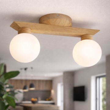 Ytmonterad taklampa ANTONIO 2xG9/5W/230V ek/vit