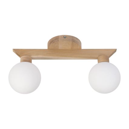 Ytmonterad taklampa ANTONIO 2xG9/5W/230V ek/vit