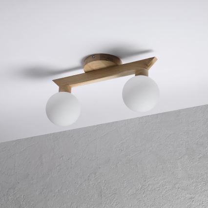 Ytmonterad taklampa ANTONIO 2xG9/5W/230V ek/vit