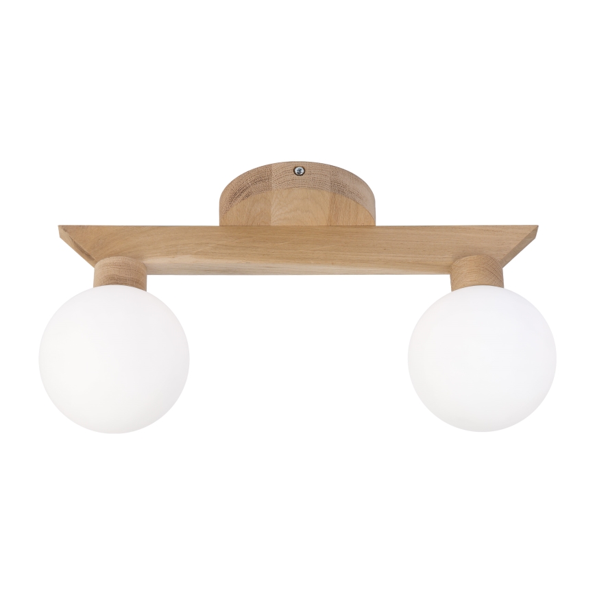 Ytmonterad taklampa ANTONIO 2xG9/5W/230V ek/vit