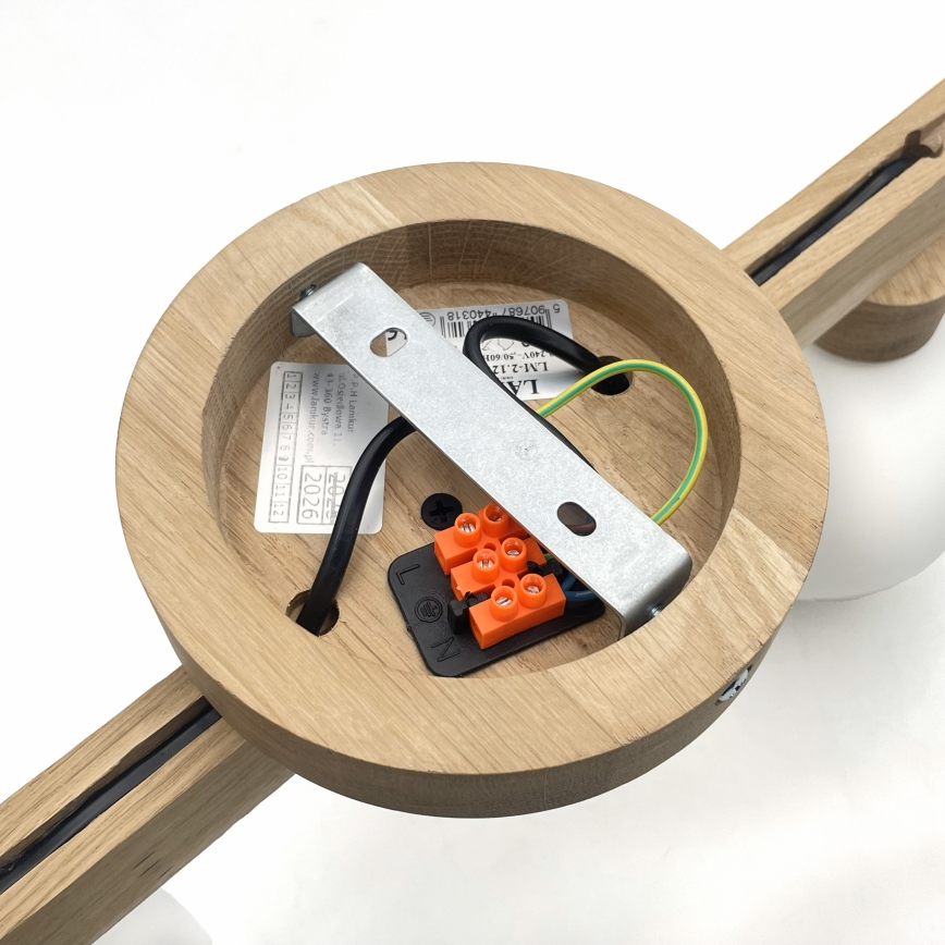 Ytmonterad taklampa ANTONIO 2xG9/5W/230V ek/vit