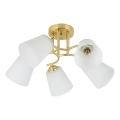 Ytmonterad taklampa PAFOS 5xE27/15W/230V guldig