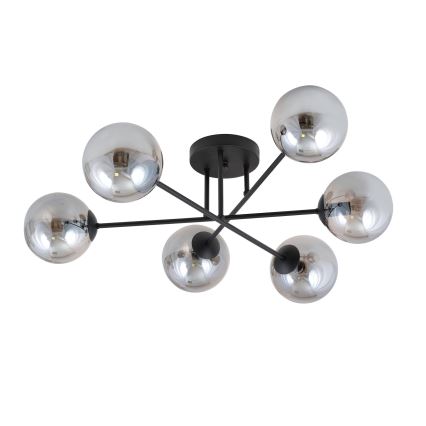 Ytmonterad taklampa ROMA 6xE14/10W/230V svart/rökfärgad