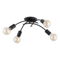 Ytmonterad taklampa TORIZO 4xE27/15W/230V svart