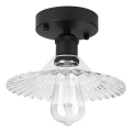 Ytmonterad taklampa TRISH 1xE27/15W/230V svart/klar