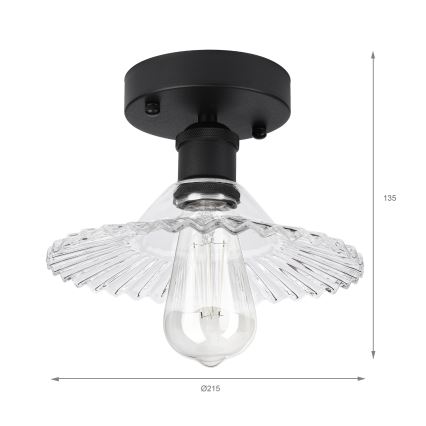Ytmonterad taklampa TRISH 1xE27/15W/230V svart/klar