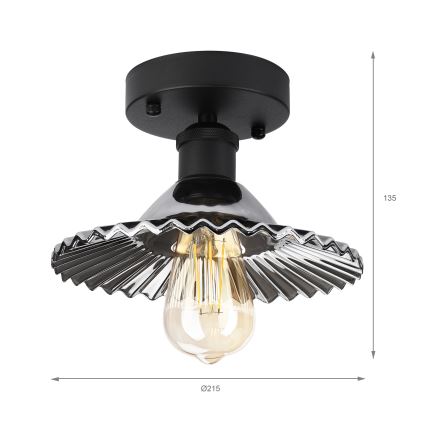 Ytmonterad taklampa TRISH 1xE27/15W/230V svart/rökfärgad