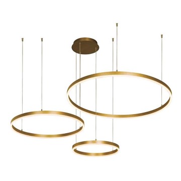 Zambelis 1956 - LED ljuskrona med textilsladd LED/136W/230V guld