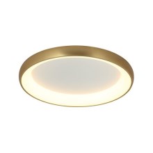 Zambelis 2042 - LED Dimbar taklampa LED/30W/230V diameter 40 cm guld