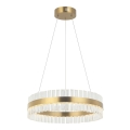 Zambelis 22039 - LED ljusreglerad ljuskrona på textilsladd LED/56W/230V guld