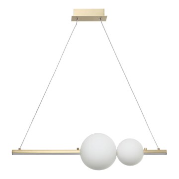 Zambelis 22108 - LED dimbar taklampa LED/11W/230V guld