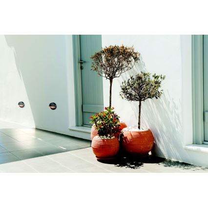 Zambelis E294 - LED trappbelysning för utomhusbruk LED/2W/230V IP65 antracit