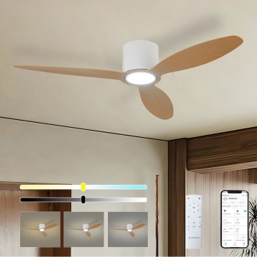 ZEVENTI - LED-dimmbar takfläkt VENTORA LED/24W/230V 3000/4000/6000K Wi-Fi Tuya vit/ek + fjärrkontroll