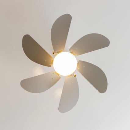 ZEVENTI - Takfläkt FAMARA 1xE14/60W/230V grå