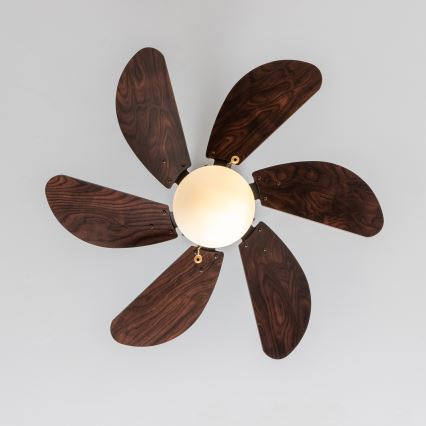 ZEVENTI - Takfläkt FAMARA 1xE14/60W/230V