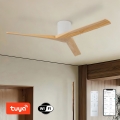 ZEVENTI - Takfläkt VELLON Wi-Fi Tuya vit/paulownia + fjärrkontroll
