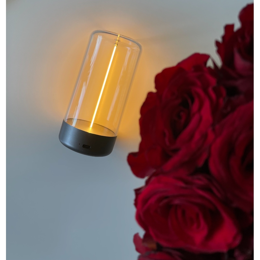 Zuma Line - LED Dimbart uppladdningsbart skrivbordslampa LED/0,5W/230V svart IP54