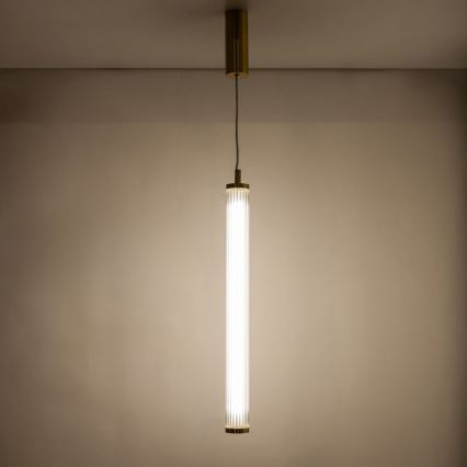 Zuma Line - LED dimbar pendellampa på vajer LED/26W/230V 2700-6500K guld + fjärrkontroll