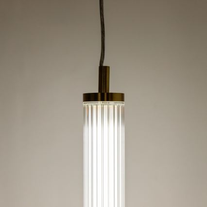 Zuma Line - LED dimbar pendellampa på vajer LED/26W/230V 2700-6500K guld + fjärrkontroll