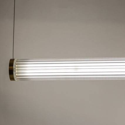 Zuma Line - LED dimbar takpendel på vajer LED/64W/230V 2700-6500K guld + fjärrkontroll