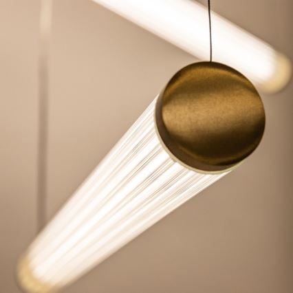 Zuma Line - LED dimbar takpendel på vajer LED/64W/230V 2700-6500K guld + fjärrkontroll