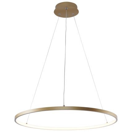 Zuma Line - LED ljuskrona med textilsladd LED/28W/230V 3000/4000/6000K diameter 60 cm guld