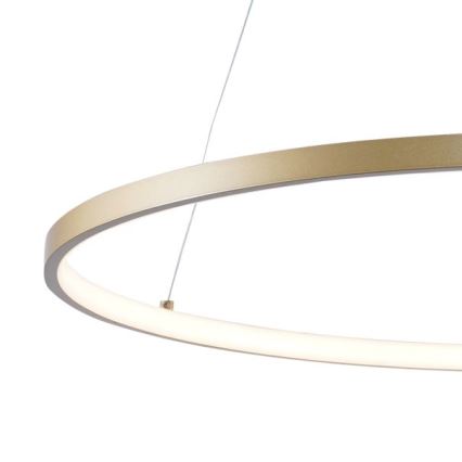 Zuma Line - LED ljuskrona med textilsladd LED/28W/230V 3000/4000/6000K diameter 60 cm guld