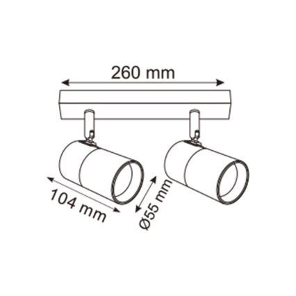 Zuma Line - Spotlight 2xGU10/50W/230V svart/guld