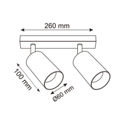 Zuma Line - Spotlight 2xGU10/50W/230V guld