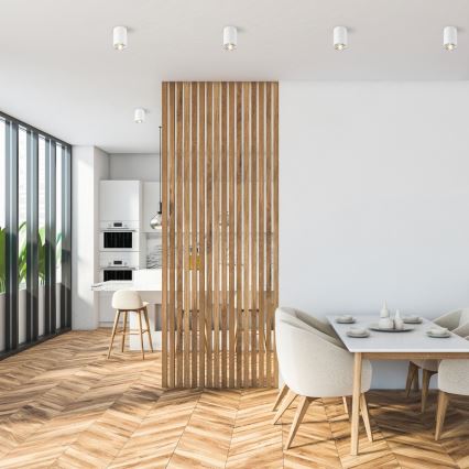 Zuma Line - Spotlampa 1xGU10/50W/230V vit