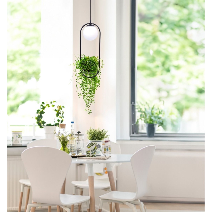 Zuma Line - Ljuskrona med textilsladd 1xE14/40W/230V svart