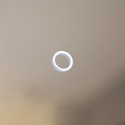 Zuma Line - LED Badrum vägg spegel med bakbelysning LED/24W/230V 3000/4000/6000K diameter 60 cm IP44 guld