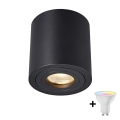 Zuma Line - dimbar LED RGBW badrumsspotlight 1xGU10/4,8W/230V IP44 svart + fjärrkontroll
