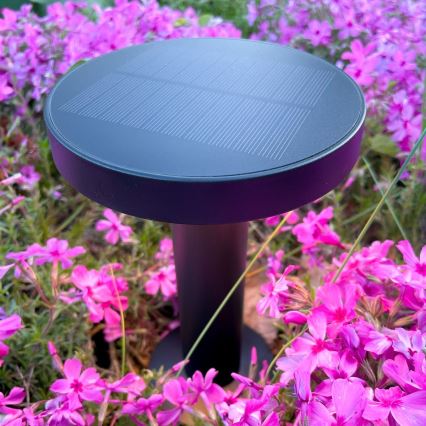Zuma Line - LED Dimbara solcellsdrivna bordslampa LED/2W/2000 mAh IP44 svart