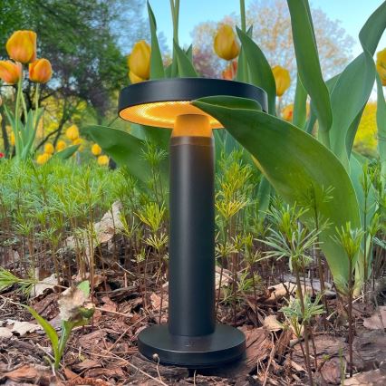 Zuma Line - LED Dimbara solcellsdrivna bordslampa LED/2W/2000 mAh IP44 svart