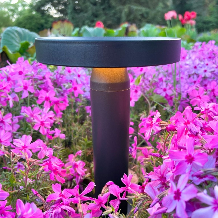 Zuma Line - LED Dimbara solcellsdrivna bordslampa LED/2W/2000 mAh IP44 svart