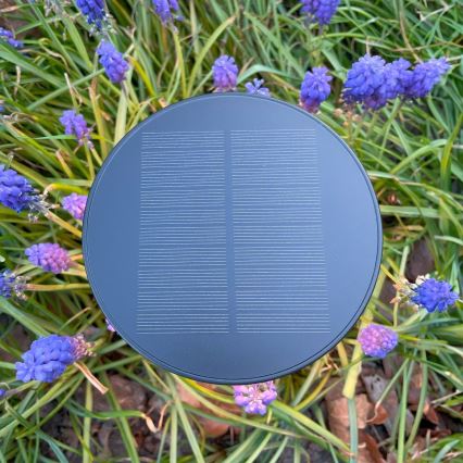 Zuma Line - LED Dimbara solcellsdrivna bordslampa LED/2W/2000 mAh IP44 svart