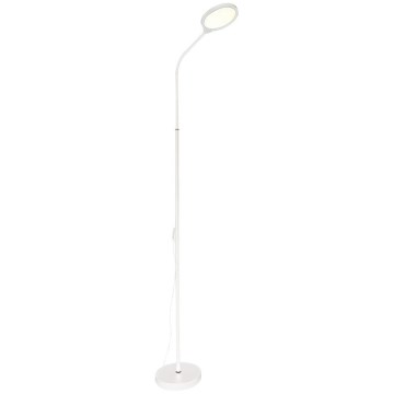 Zuma Line - LED dimbar golvlampa LED/10W/230V 3000/4500/6500K vit