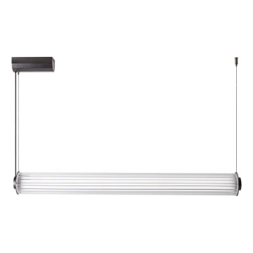 Zuma Line - LED dimbar pendellampa på kabel LED/39W/230V 2700-6500K svart + fjärrkontroll