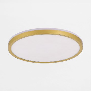 Zuma Line - LED Dimbar taklampa LED/26,5W/230V + LED/6,5W 3000/4000/5500K diameter 32 cm guld