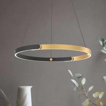 Zuma Line - LED dimbar taklampa LED/30W/230V svart/guld