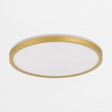 Zuma Line - LED Dimbar taklampa LED/38W/230V + LED/11W 3000/4000/5500K diameter 50 cm guld