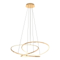 Zuma Line - LED dimbar taklampa LED/56W/230V guld
