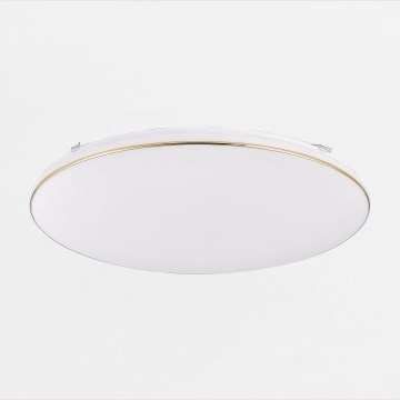 Zuma Line - LED Dimbart taklampa OMAR LED/48W/230V Ø 53 cm guld