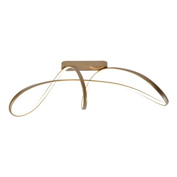 Zuma Line - LED fäst ljuskrona LED/50W/230V 3000/4000/6000K guld