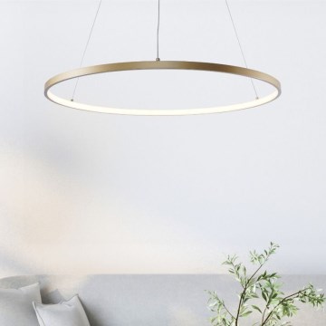 Zuma Line - LED ljuskrona med textilsladd LED/28W/230V 3000/4000/6000K diameter 60 cm guld