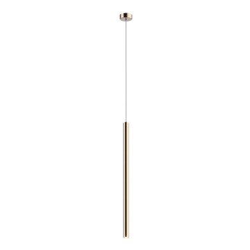 Zuma Line - LED Ljuskrona med upphängningsrem  LED/5W/230V