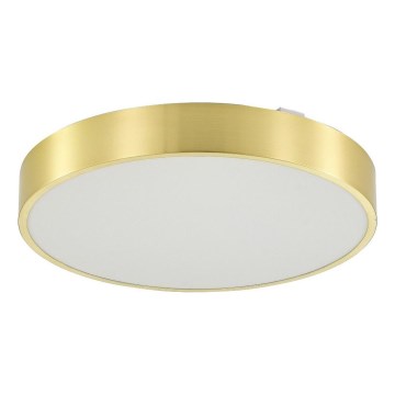 Zuma Line - LED ljusreglerad taklampa till badrum LED/36W/230V 3000-6000K diameter 40 cm IP44 guld + fjärrkontroll