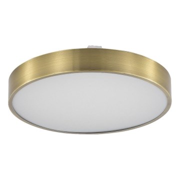 Zuma Line - LED ljusreglerad taklampa till badrum LED/50W/230V 3000-6000K diameter 50 cm IP44 mässing + fjärrkontroll