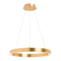Zuma Line - LED-pendel på vajer LED/30W/230V 40 cm guld